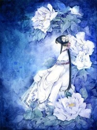 暗杀对象是狐狸