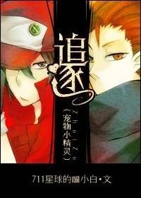 （寵物小精靈同人）追逐