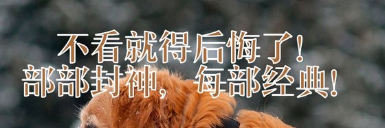 不看就得后悔了！部部封神，每部经典！